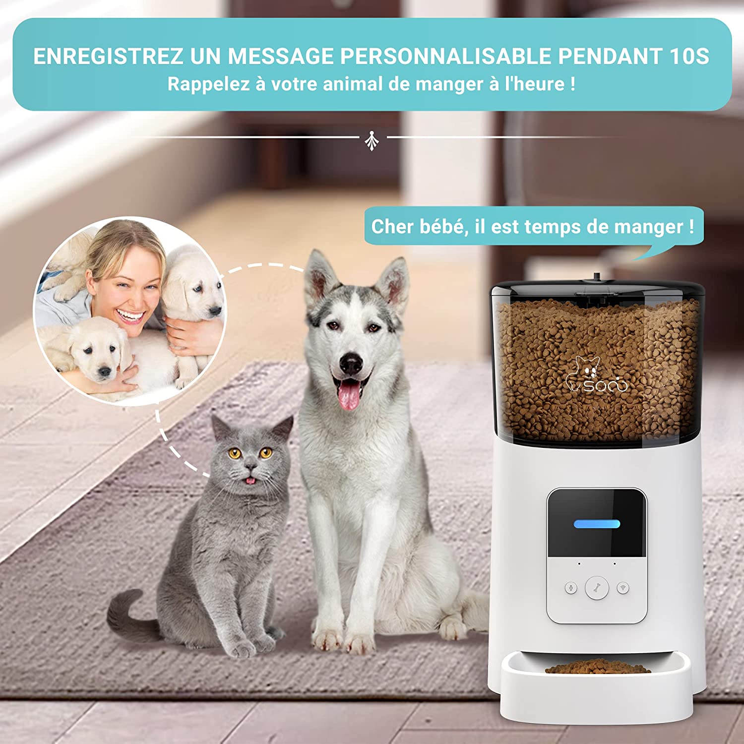 gadget animaux